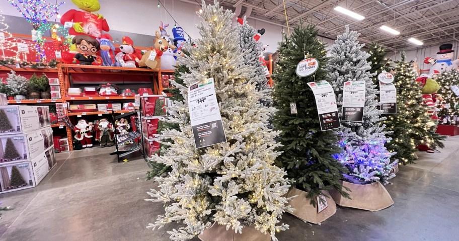 christmas trees on display in home depot store