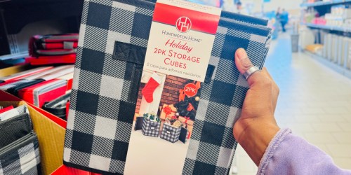 Top ALDI Weekly Finds: Under $10 Holiday Storage Items & More!