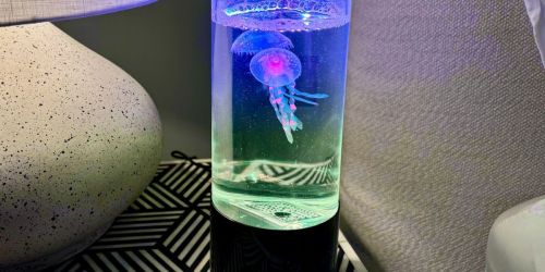 *HOT* Jellyfish Lamp Only $10 on Walmart.com (FUN Gift Idea!)