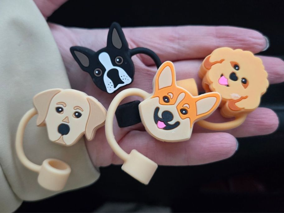 a person holding 4 dog straw toppers 