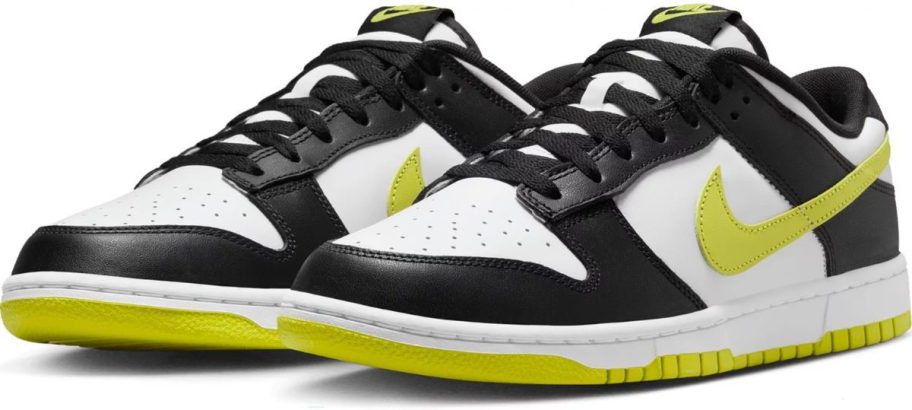 Stock image of Nike Men's Dunk Lows