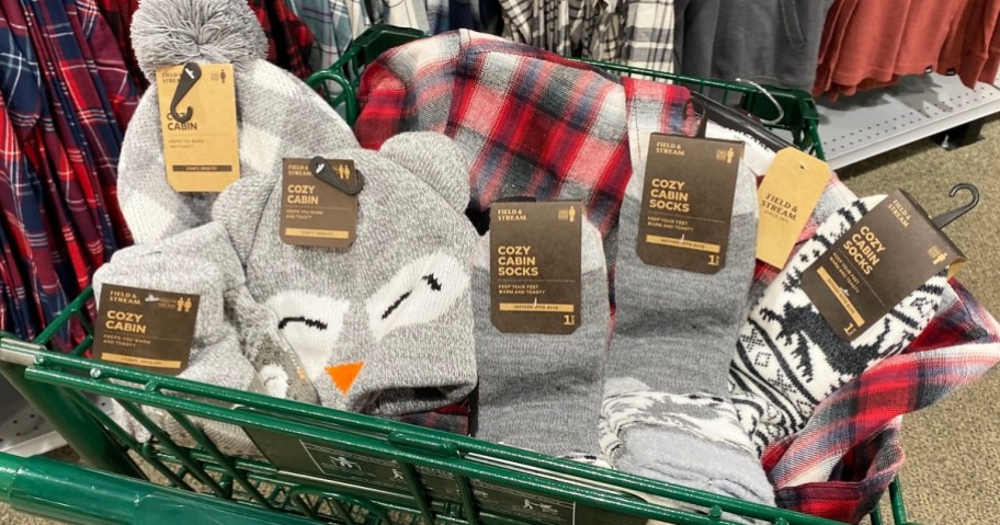 Cozy Cabin accessories in Northeast Outfitters green shopping cart.