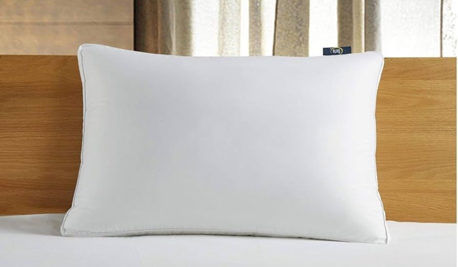 Serta Bed Pillow 2-Pack Only $13.99 on Macy’s.com (Just $7 Each)