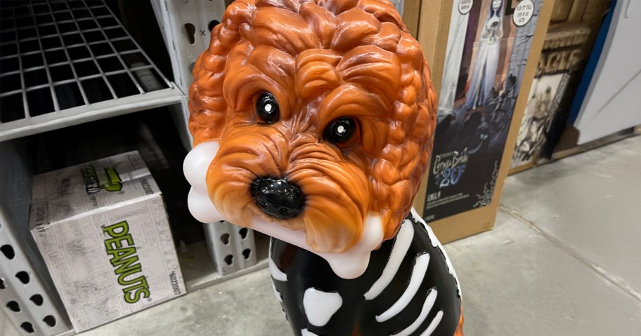 Skeleton Doodle Blow Mold on display in a Lowe's Store