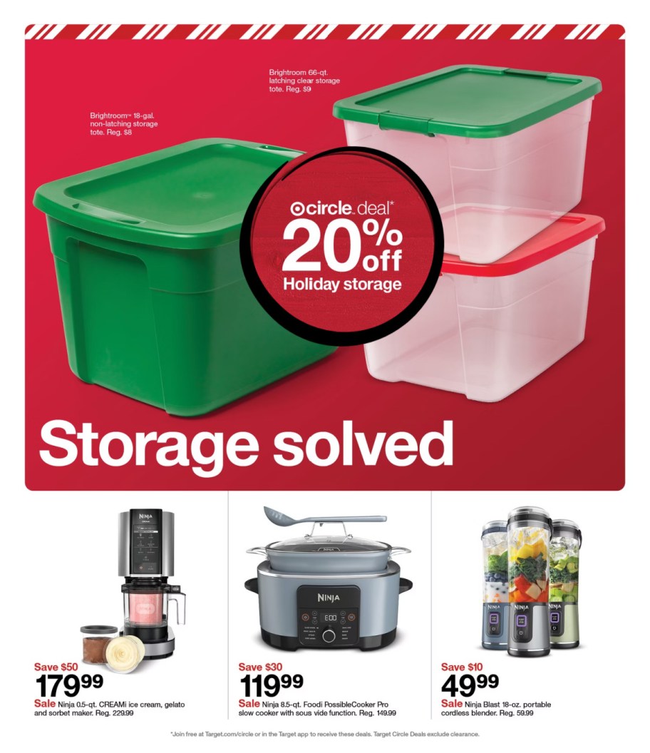 page from Target ad