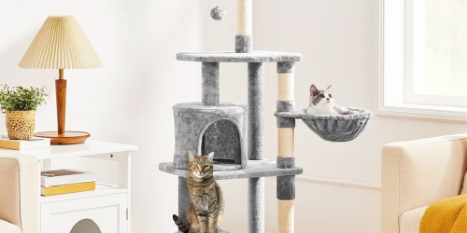 Multi-Level Cat Trees from $44.99 Shipped on Amazon (Regularly $84)