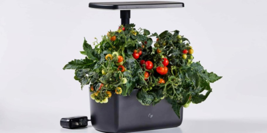 AeroGarden Harvest Just $30 on Amazon (Reg. $55)