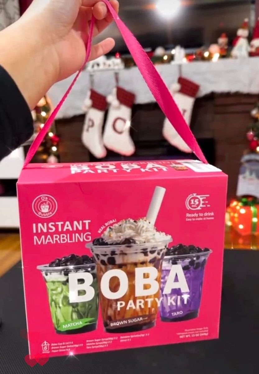 hand holding a boba party kit box in christmas living room