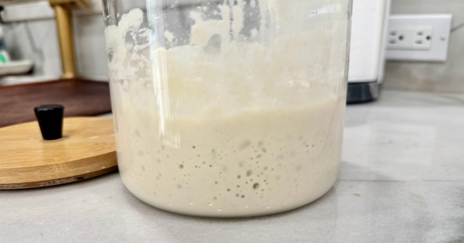 bubbly sourdough starter in a large jar