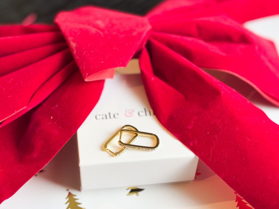 Cate & Chloe Square Hoop Earrings Just $18 Shipped (Unique Gift Idea + Includes Gift Box!)