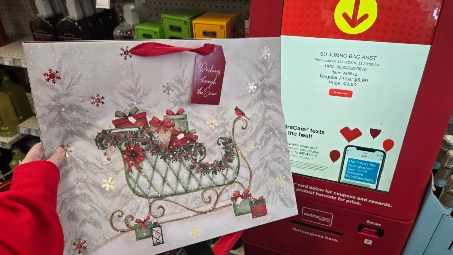 womans hand holding larghe gift bag