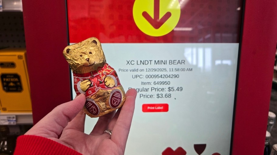 lindt chocolate mini bear