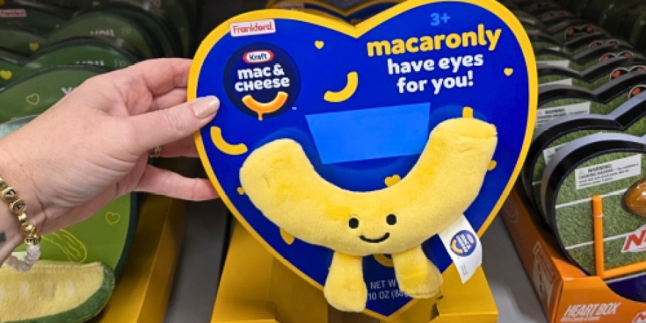 Frankford Valentine’s Plush w/ Candy Sets Just $10 at Target | Kraft, KFC, Dunkin’ & More