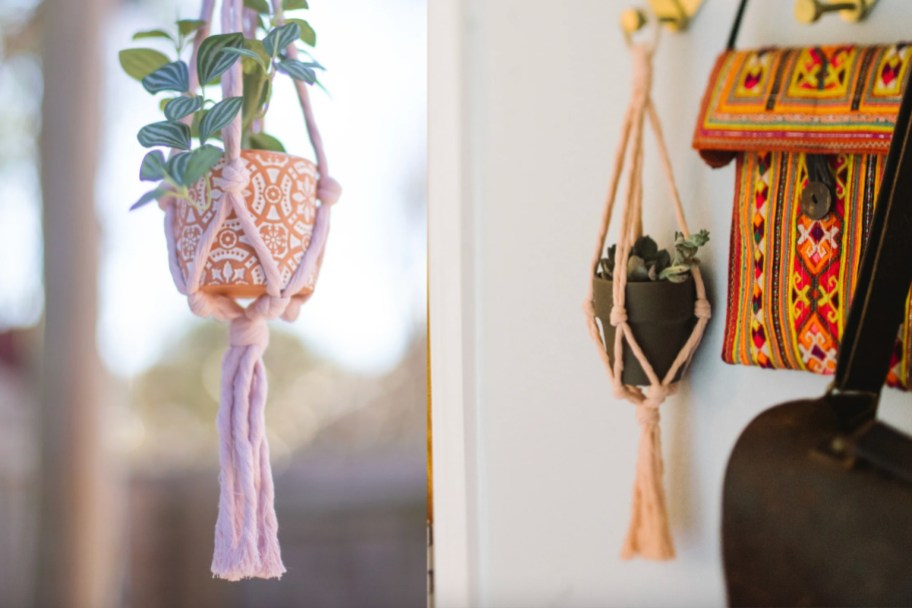 two hanging plants in mini rope planters