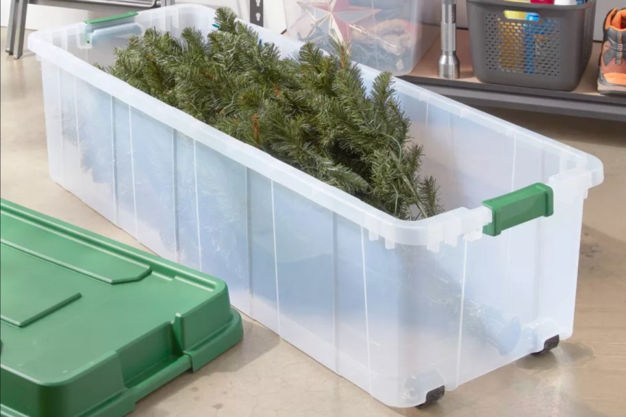 christmas tree in plastic storage bin on ground