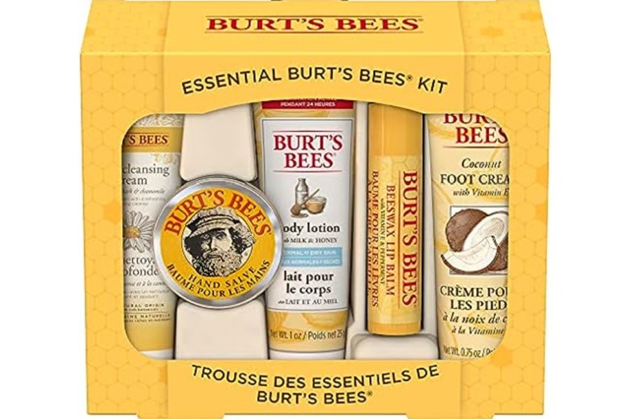 burts bees everyday beauty gift set