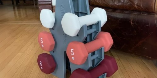 30% OFF Target’s All in Motion Dumbbells & Weights | Hand Weight Set Only $34.99 (Reg. $50)