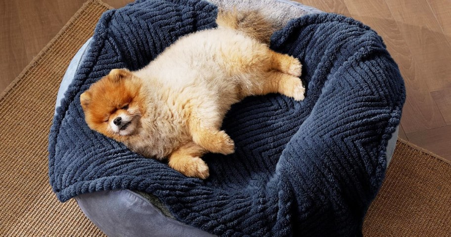 dog laying on top of a navy blue blanket over a dog bed