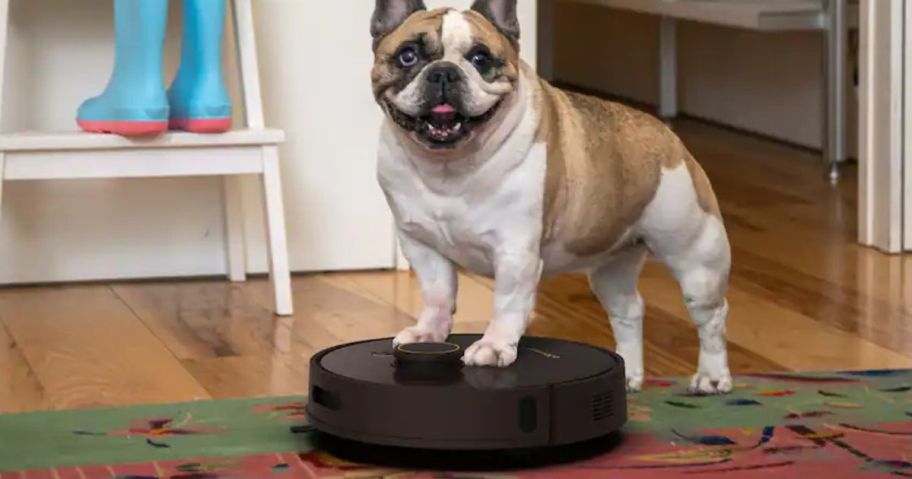 Dog standing on a xbObsweep Orb-i Self-emptying Robotic Vacuum Cleaner