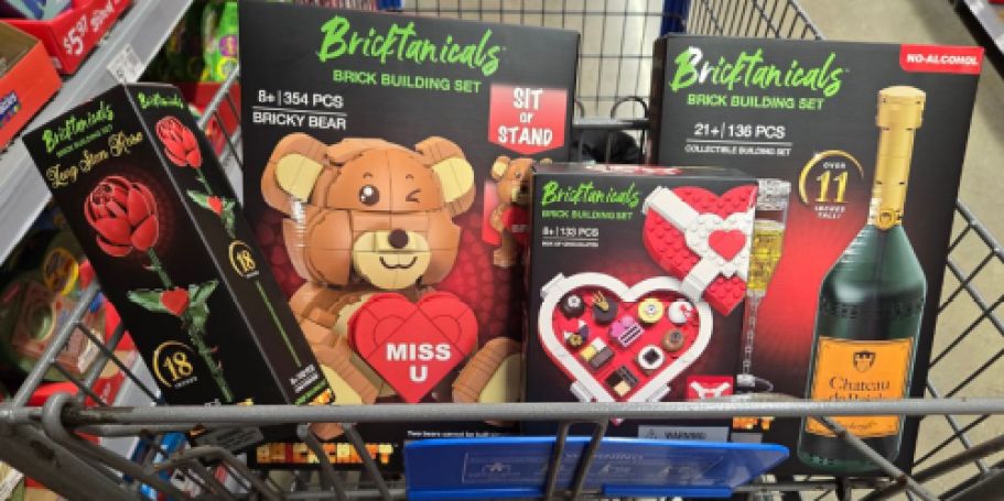 Brickcraft Bricktanicals Valentine’s Sets from $4.97 on Walmart.com (Compatible with LEGO!)