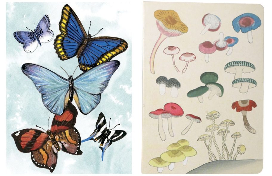 Butterfly and Mushroom Journals