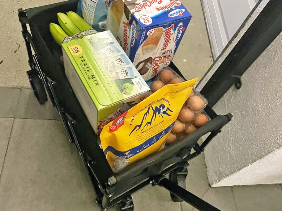 groceries inside a black wagon