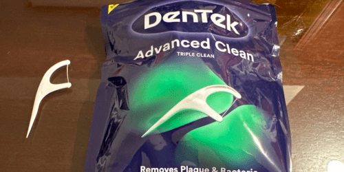 DenTek Floss Picks 6-Pack Only $2.76 Shipped on Amazon (Reg. $10)