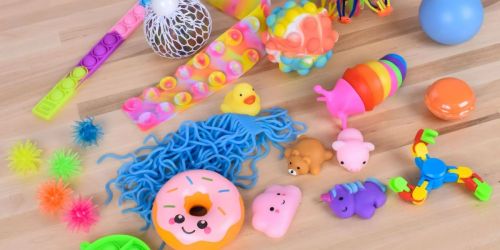 Kids Deluxe Fidget Box w/ 24 Sensory Toys Just $15 on Walmart.com (Regularly $21)