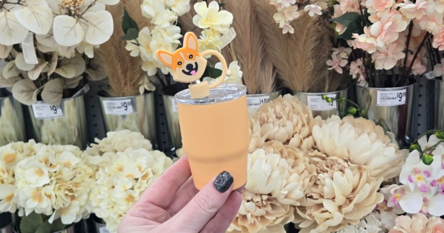 Straw Topper 4-Pack Or Mini Tumblers Just $2.99 at Michaels