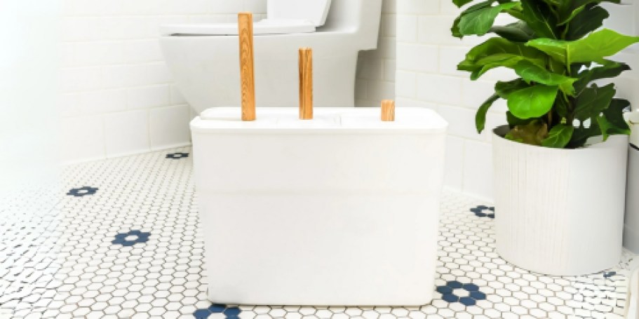 The Home Edit Bathroom Set Just $24.98 on Walmart.com – Includes Brush, Plunger, & Trash Can!