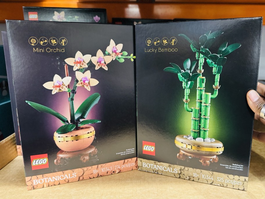 Lego Botanicals Mini Orchid and Lucky Bamboo