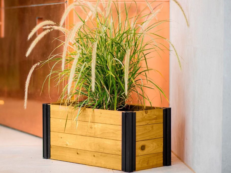 Vita Rectangle 11.25" Extra Large Brown Cedar Raised Planter Box