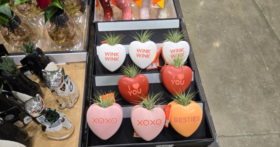 A box full of heart shaped planters