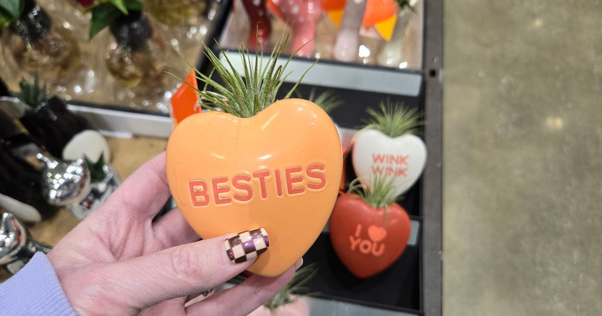 Best Galentine’s Day Gifts Under $30: Cute, Fun & Budget-Friendly