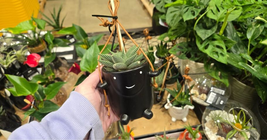 A person holding a black ceramic figure planter