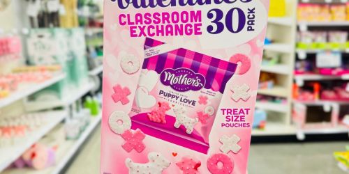 18 Fun & Affordable Classroom Valentine Treat Ideas from Target (In-Store & Online)