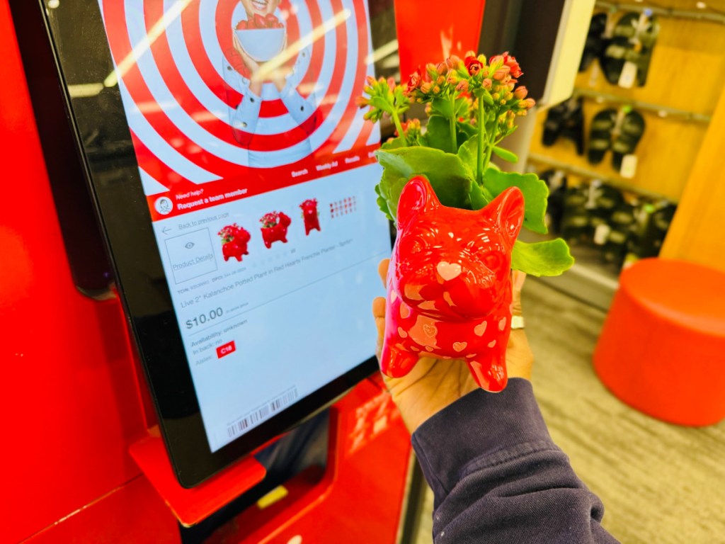 Person holding up red Frenchie glass planter in front of target scanner