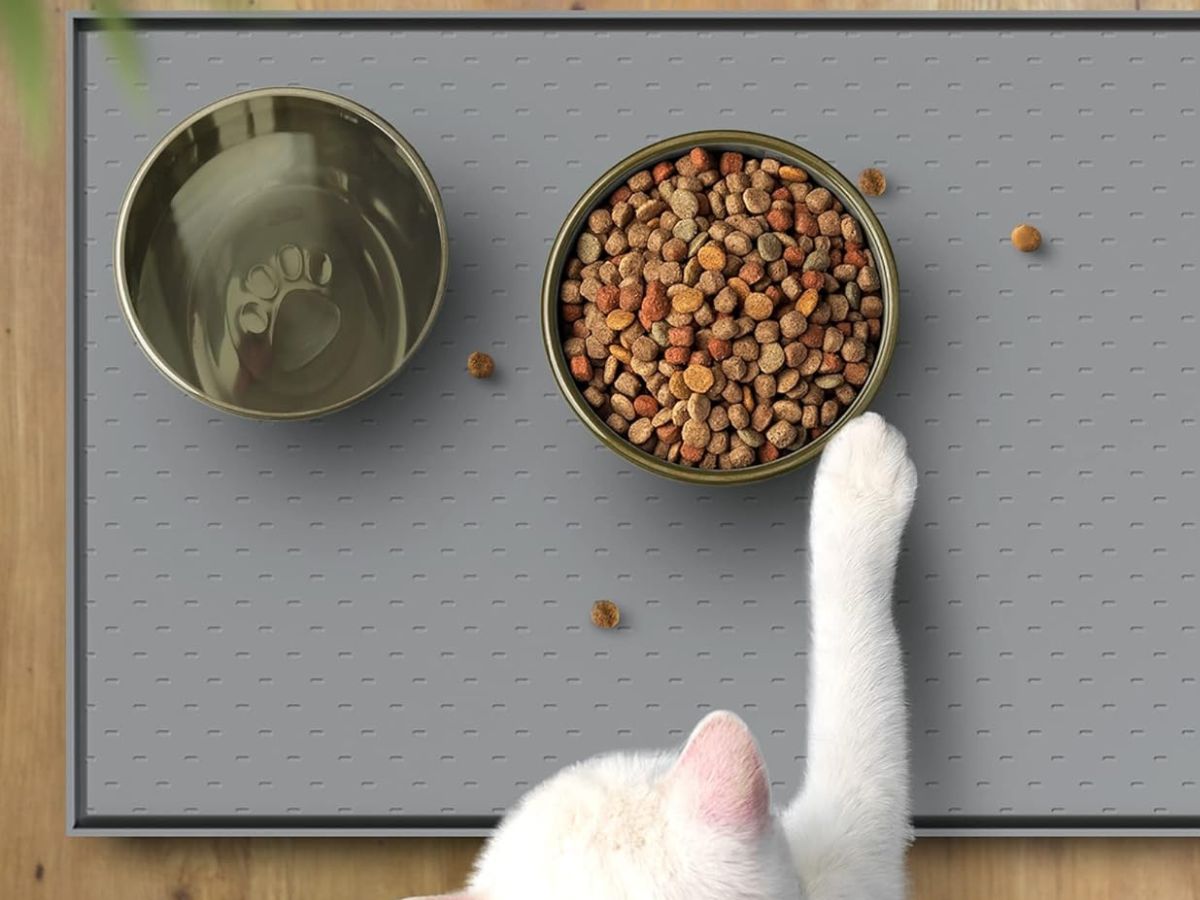 Silicone Pet Feeding Mat JUST $5 on Amazon (Reg. $10)