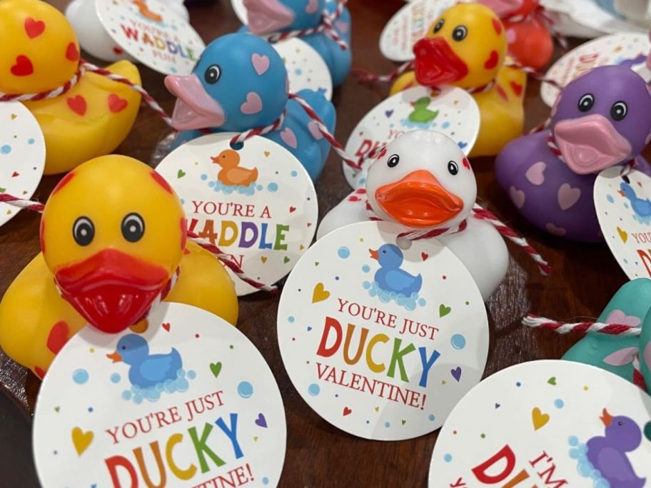 Valentine Rubber Ducks with Cards