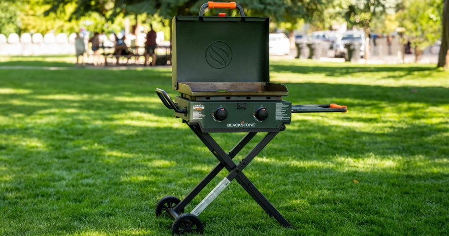 green blackstone griddle in park 