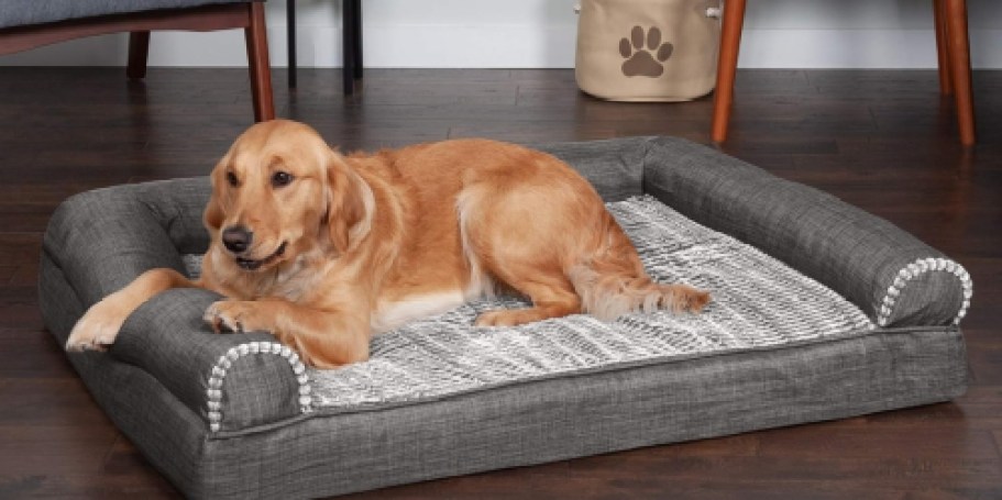 Up to 55% Off Cooling Dog Beds on Petco.com