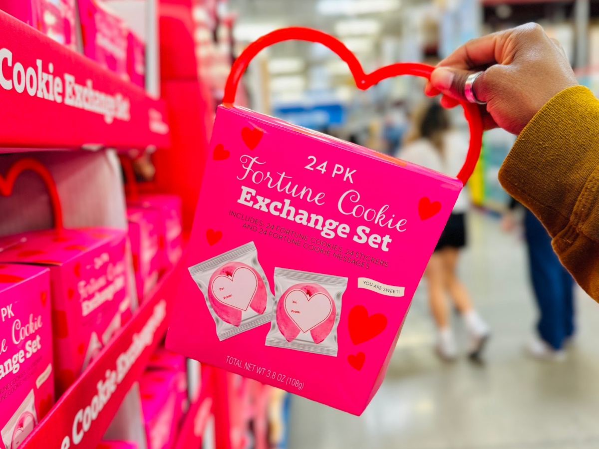 NEW Sam’s Club Valentine’s Day Finds | Throw Blankets & Classroom Exchange Sets