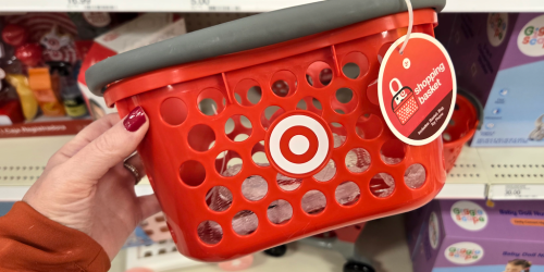 GO! Target Toy Shopping Basket Bundle Only $9.99 (Will Sell Out Again!)