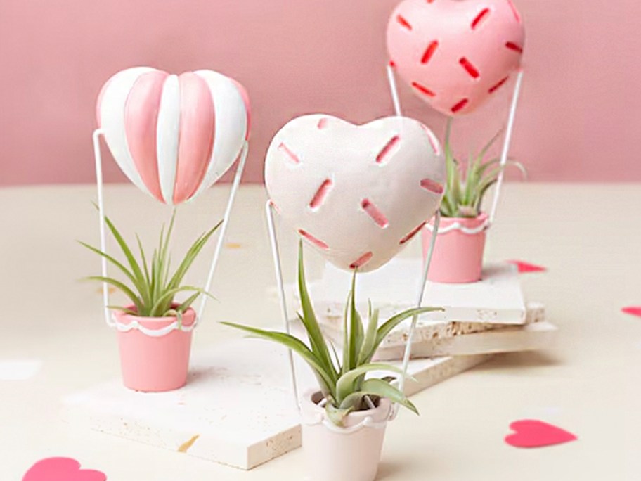 white and pink planters with air plants 