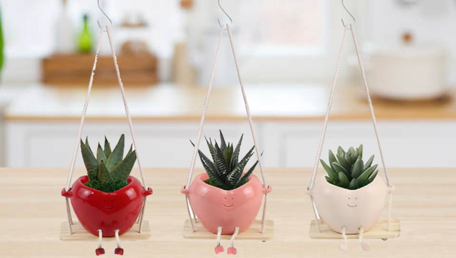 red, pink and white hanging planters 