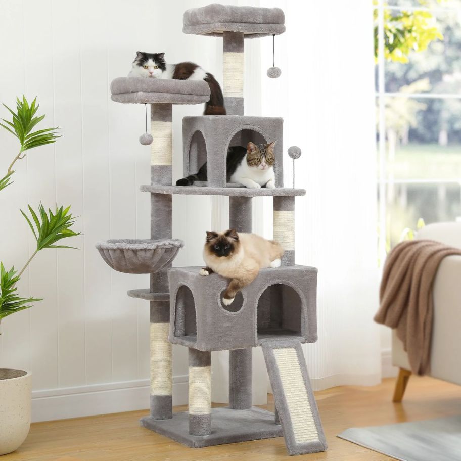 a multi level cat tree with 3 cats hanging out on it