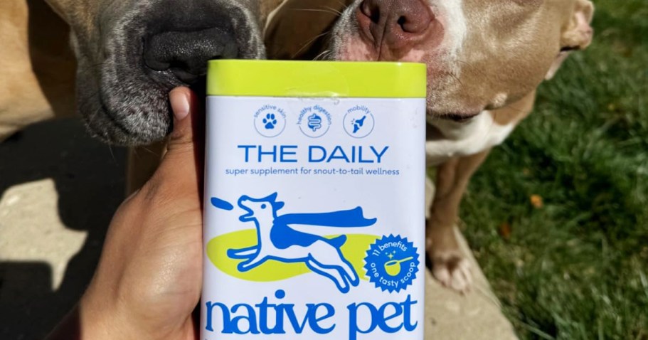 Over 50% Off Native Pet Daily Digestive Support on Amazon