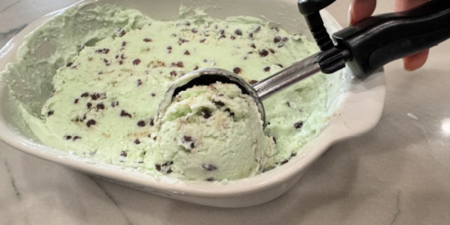 Chocolate Chip Cottage Cheese Ice Cream Has Thin Mints Vibes!