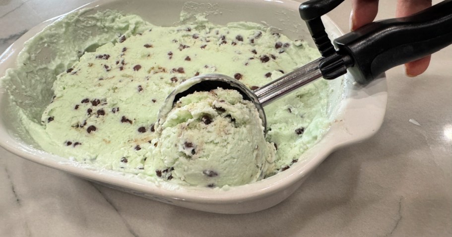 Chocolate Chip Cottage Cheese Ice Cream Has Thin Mints Vibes!