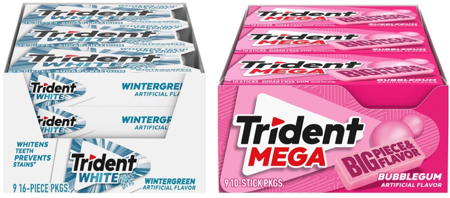 trident wintergreen and bubblegum gum packs 